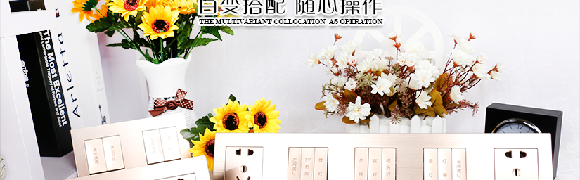 魅影金系列开关面板