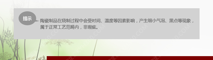 高含量骨瓷，瓷色呈现富有质感的奶白色